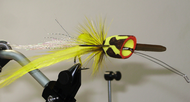 OLYMPUS DIGITAL CAMERA Фото 10