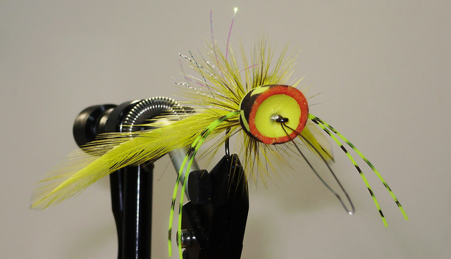 OLYMPUS DIGITAL CAMERA Фото 12