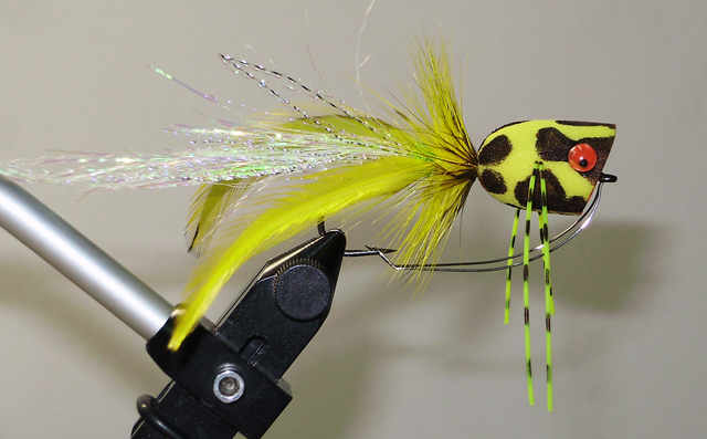 OLYMPUS DIGITAL CAMERA Фото 13