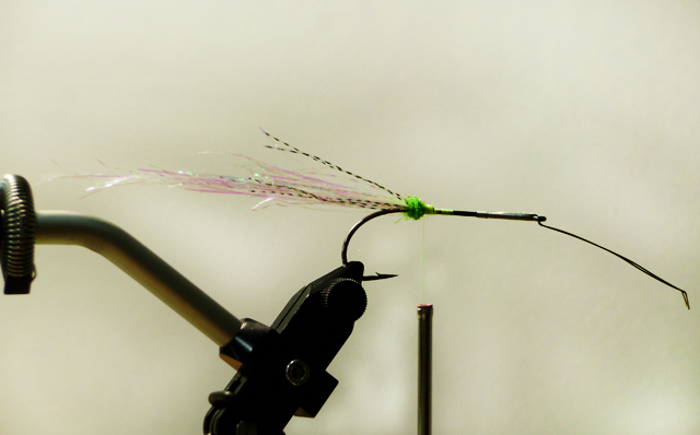 OLYMPUS DIGITAL CAMERA Фото 4