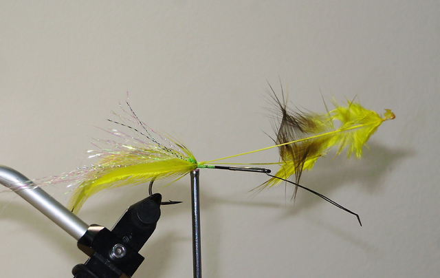 OLYMPUS DIGITAL CAMERA Фото 5