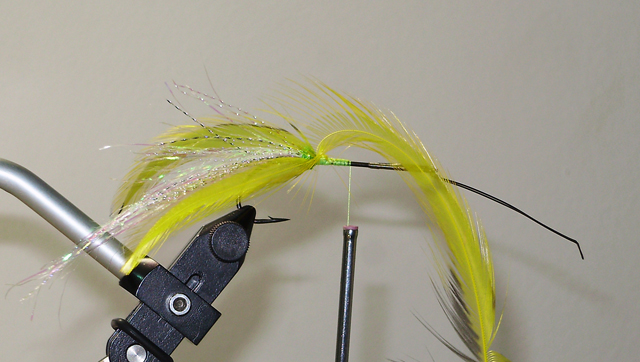 OLYMPUS DIGITAL CAMERA Фото 6