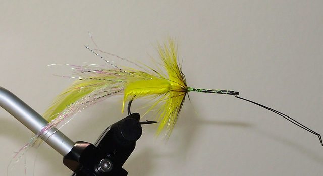 OLYMPUS DIGITAL CAMERA Фото 7