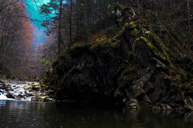 1380204_530688640352929_1382499959_n