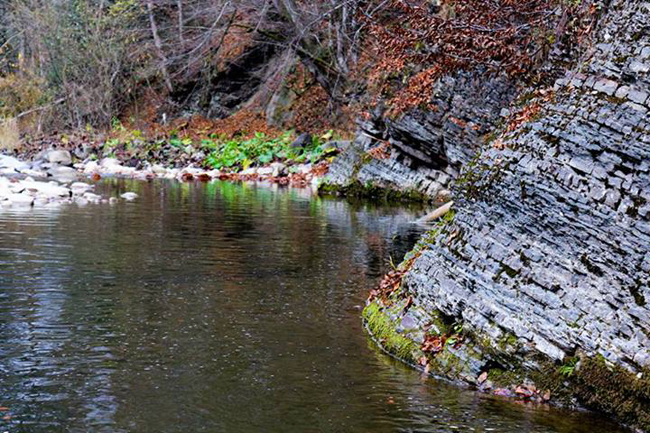 575739_530688703686256_1864399441_n