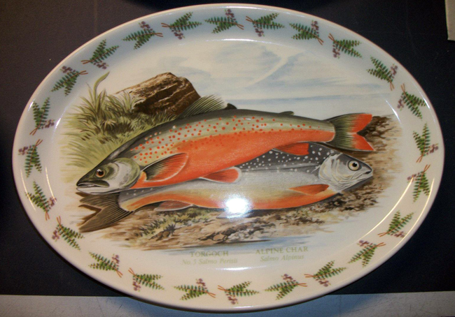 1495243_577876688952384_557654000_o