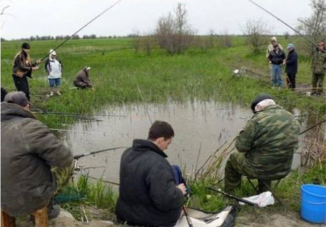 1607040_249976151838816_1761421761_n