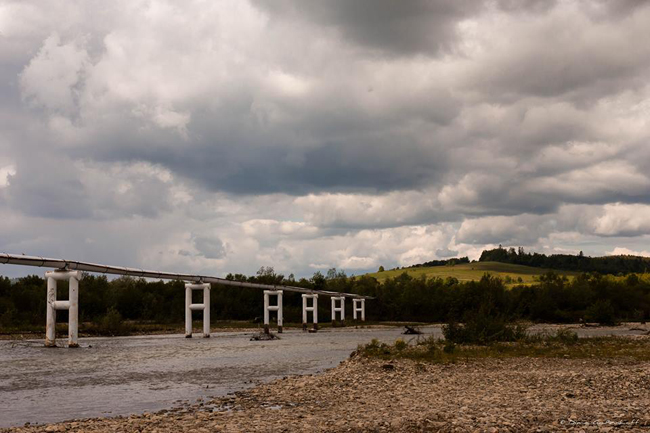 13329712_1300502459979954_1618495186_n