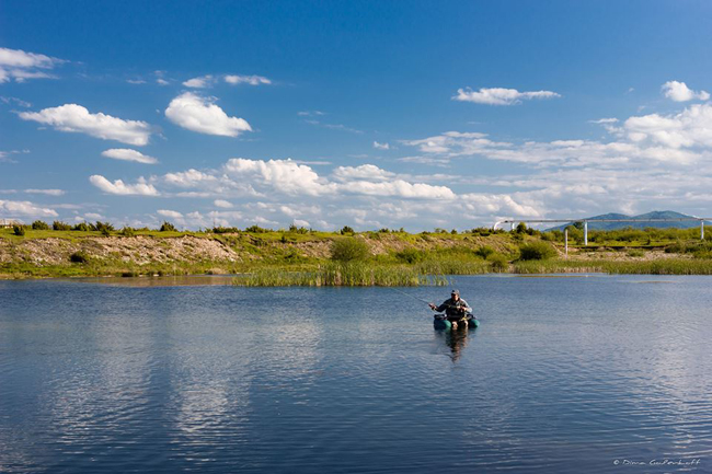 13348915_1300502469979953_1306296914_n