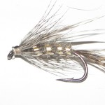 Мокрі фаворити