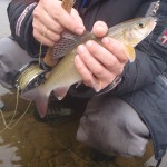 Підкорення мілин 