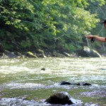 Чемпіонат України – 2012. Підсумки