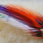 Сповідь мухов’яза