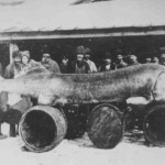 За осетром до Білорусії 