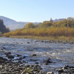 Вакації з киянами і харіусами 