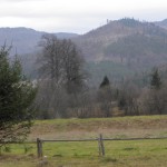 Надихатися перед зимою