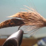 Ледачий коблик – король ріки 