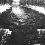 Fly fishing never dies!