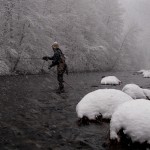 Узимку врятують мошки