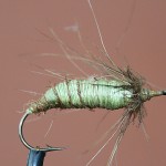 Історія «польської» німфи