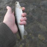 Німфи-2012: фаворити Карпат