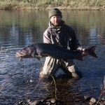 Чи виживає відпущена риба?