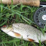 Нахлист весною. Плітки та інші небелиці…