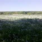 Луганські змагання-2013