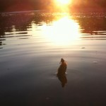 “НАХЛИСТ НЕ ПРОМІНЯЮ НІ НА ЩО!”