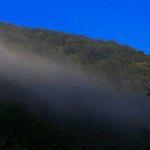 Нахлистове свято під назвою “Кубок України”