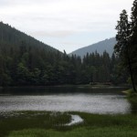 У річки Нацпарку «Синевир» випустили мальків… гольця  