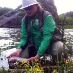 Усім прогнозам наперекір