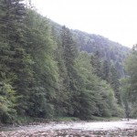 Чемпіонат України. Регламент змагань