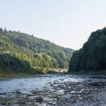 Чемпіонат України 2013. Як карта ляже…