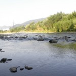 ЧУ-2013! Особливості українського нахлисту