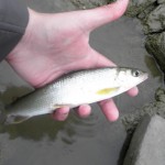 Дощ? Ні, не страшно