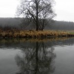 Найкращий нахлист в житті (ФОТО)