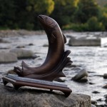 Змагання, семінари та зміни… 