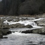 «Розкусити» зиму