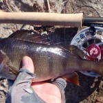 Озерний трофей