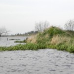 В краю озер, птахів та рік (За мотивами роману Б. Акуніна «Левіафан»)