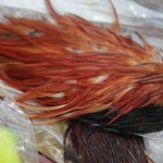 Кубок і семінар: система проживання і харчування