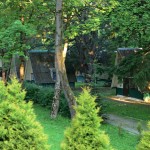 Парадокси нахлистових змагань: як втратити Кубок за дві години. Частина друга 