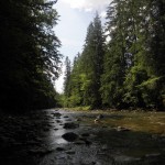 Бездітна ріка