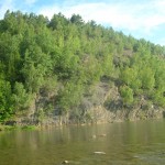 Гаплик Карпатам? Уряд наказав вирубати “Сколівські бескиди”