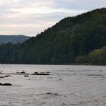 Сян: нездійсненні сподівання 