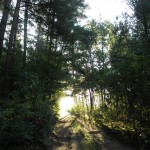 Всього по-трошки