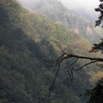 Суха і Ріка. Частина третя