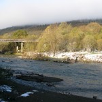 Зелене листя, білі сніжинки (ФОТО)