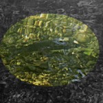 Лашара мі кантаре, бляха!